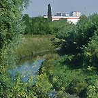 Il capannone di un'azienda sita in Zip spunta tra una fitta vegetazione; in primo piano scorre il rio Roncajette