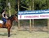 Amazzone a cavallo di fronte a uno striscione della Fondazione Fenice