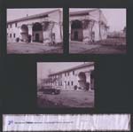 007_1983q_BorgatoEmma_viaLazio_zip