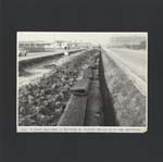 037_1963_vialeIndustria_zip