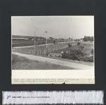 041_19630500_gasdotto_zip